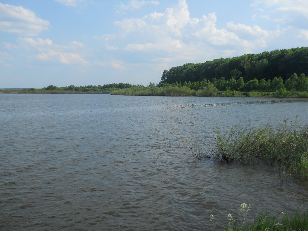 Губернаторский пруд, Колышлейский район